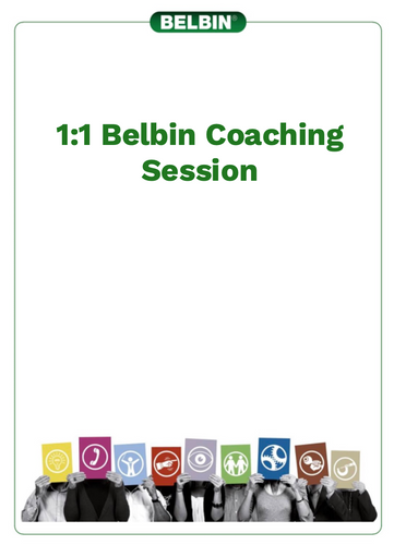 1:1 Belbin Coaching Session