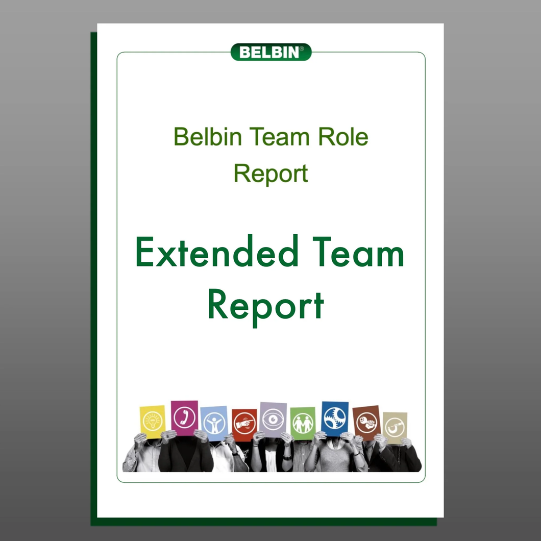 Belbin Extended Team Report