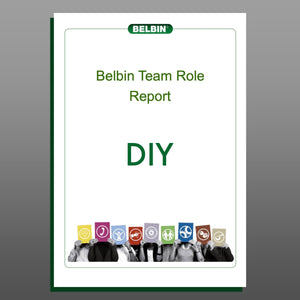 Individual Belbin Report – DIY