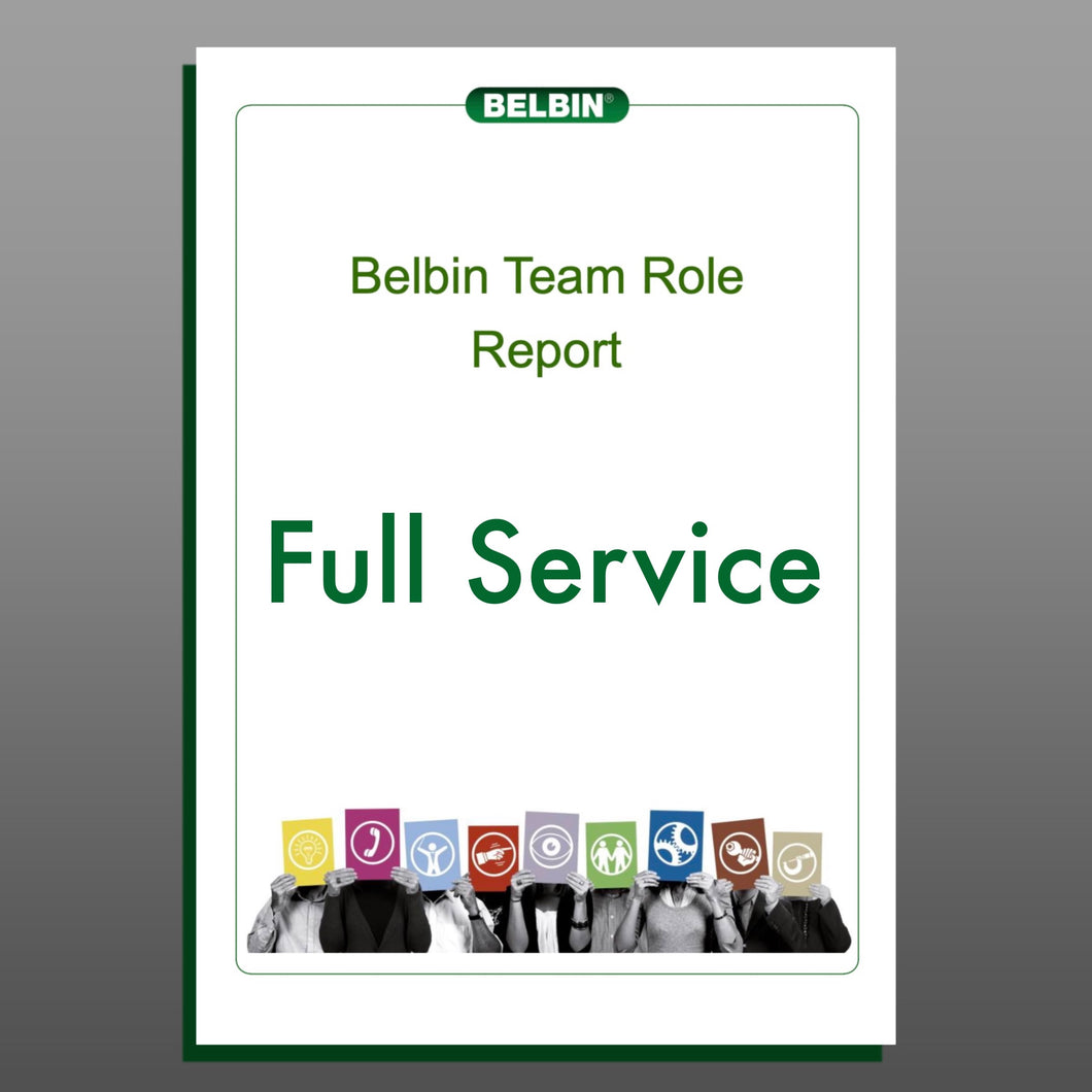 Individual Belbin Report – Full Service
