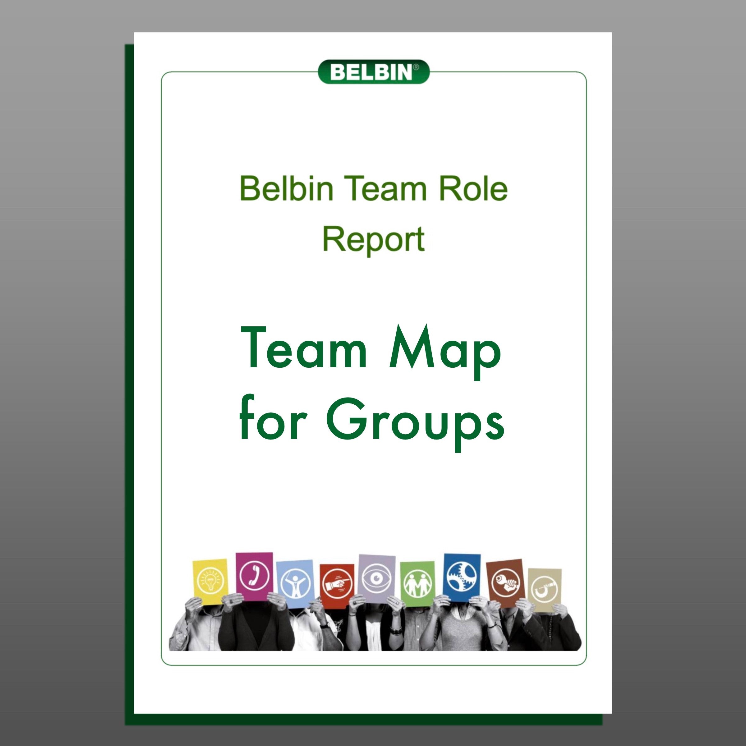 Group Belbin Team Role Map (groups Of Over 20 People) – Belbin North ...