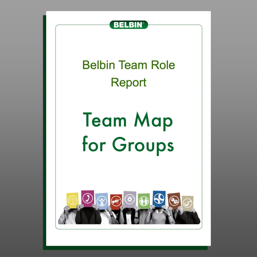Group Belbin Team Role Map (groups of over 20 people)