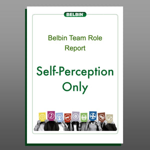 Individual Belbin Report – Self-Perception Only (DIY)